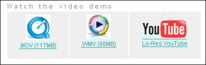 Screen capture of the 'choose video format' interface from a web page, which has three options: Windows Media, QuickTime, and YouTube